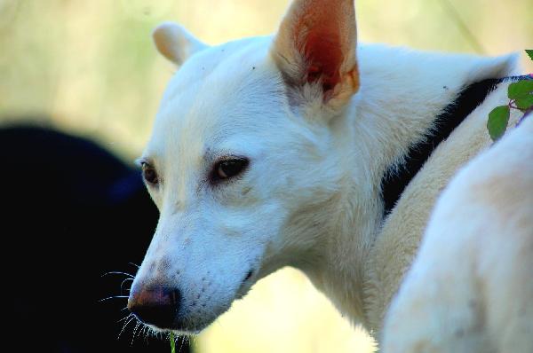 🌸 LILY – 6 MESI DI TENEREZZA! 🌸 Foto 5